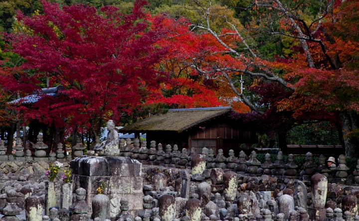 Arashiyama-Sagano Adashino Nembutsuji Temple 11-3550.jpg